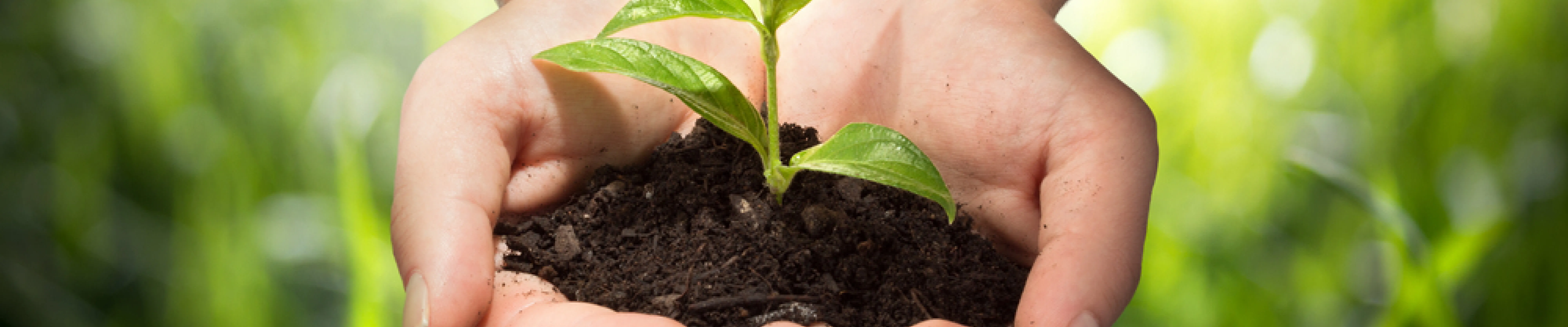 carpet cleaning in new york, carpet cleaning new york, carpet cleaners in new york, carpet cleaners in new york, commercial carpet cleaning, commercial carpet cleaning in new york, new york rug cleaners, rug cleaning services in new york, same day carpet cleaning, same day rug cleaning in new york